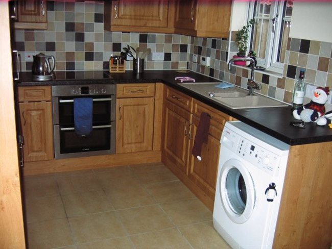 Room to rent in Great Yarmouth - Single room to rent with use of own bathroom - Image 1