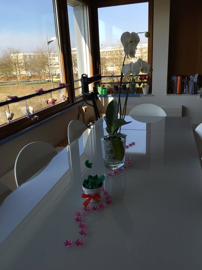 Colocation à Luxembourg - Appartement in Kirchberg from 31.05.16 near EIB/KPMG/Auchan | Appartager - Image 1