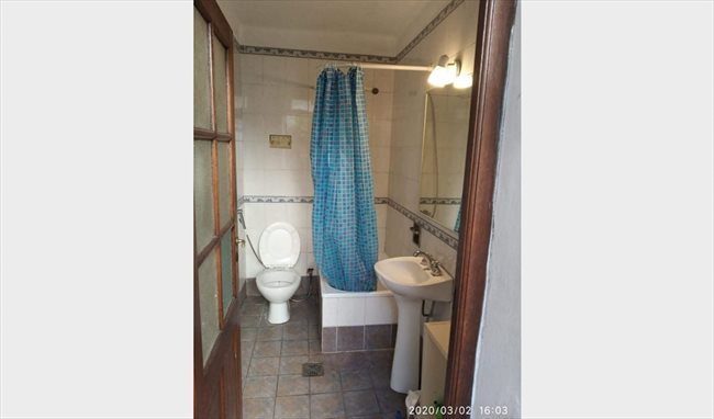 Habitacion en alquiler en San Isidro - Habitación nro 2 doble, planta baja, baño compartido | CompartoDepto - Image 4