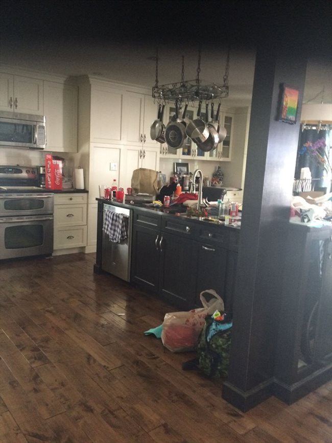 Room for rent in Edmonton - two, one bedrooms for rent in my ouse - Image 1