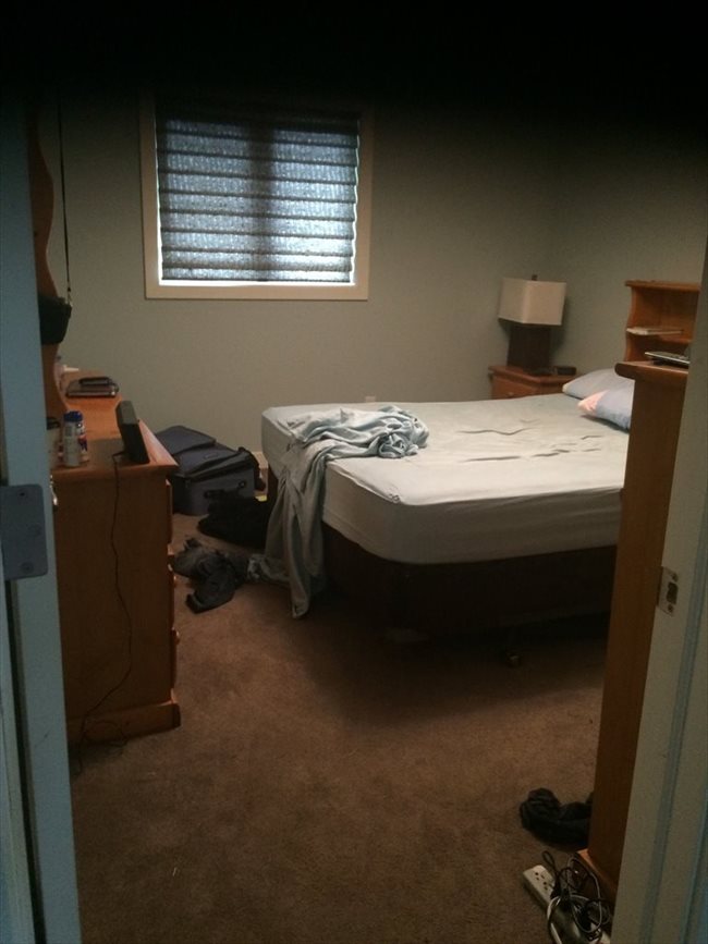 Room for rent in Edmonton - two, one bedrooms for rent in my ouse - Image 2