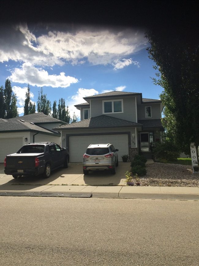 Room for rent in Edmonton - two, one bedrooms for rent in my ouse - Image 4
