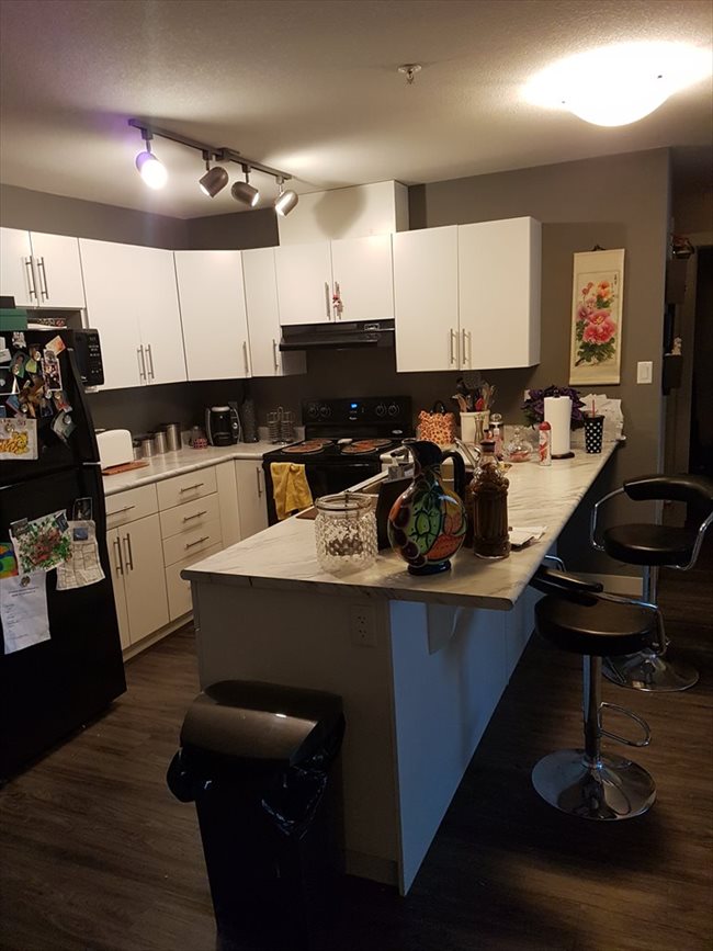 Room for rent in Edmonton - Roommate Needed For April - Image 2