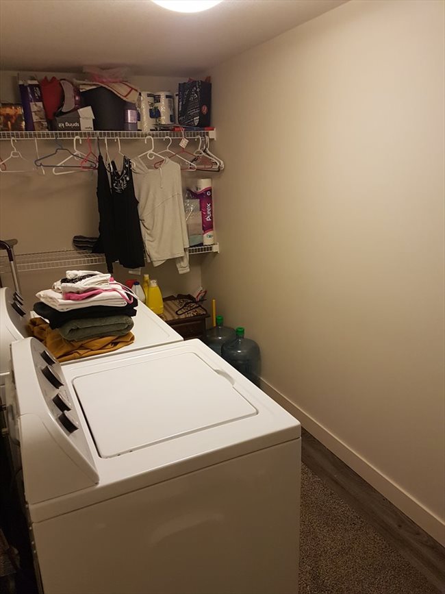 Room for rent in Edmonton - Roommate Needed For April - Image 3