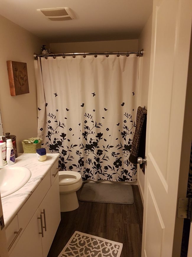 Room for rent in Edmonton - Roommate Needed For April - Image 5