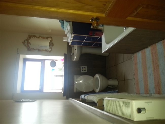 Room to rent in Dumfries - Large double rooms to rent in town centre - Image 8
