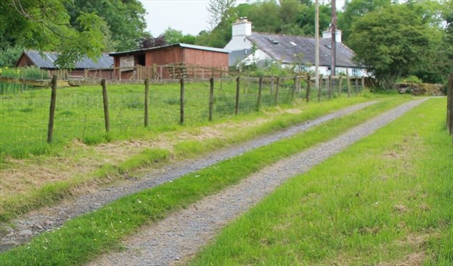 Room to rent in Dumfries - Room rental in stunning country cottage - Image 2