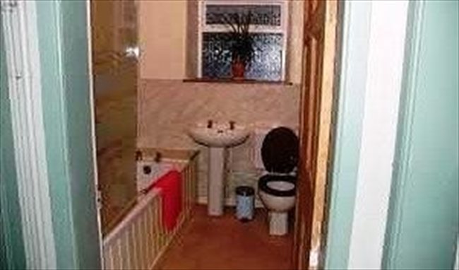 Room to rent in Dumfries - Room rental in stunning country cottage - Image 7