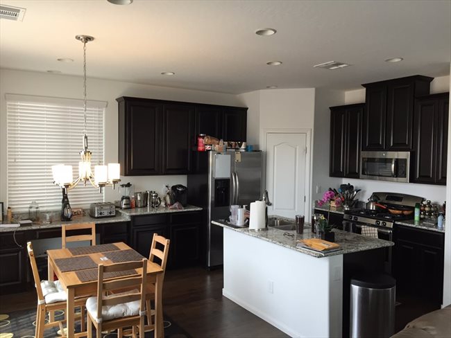 Room for rent in United States - ALL Utilities Included - Pool - GREAT PEOPLE - Image 3