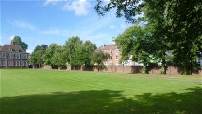 Room to rent in Park Dale - Single Room. Great Location Near City Centre. - Image 2