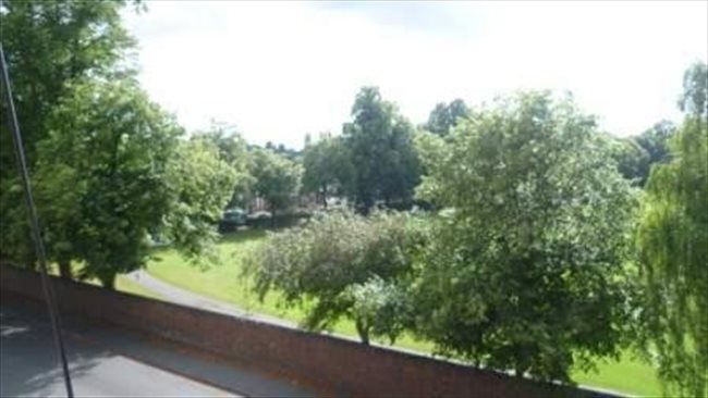 Room to rent in Park Dale - Single Room. Great Location Near City Centre. - Image 3