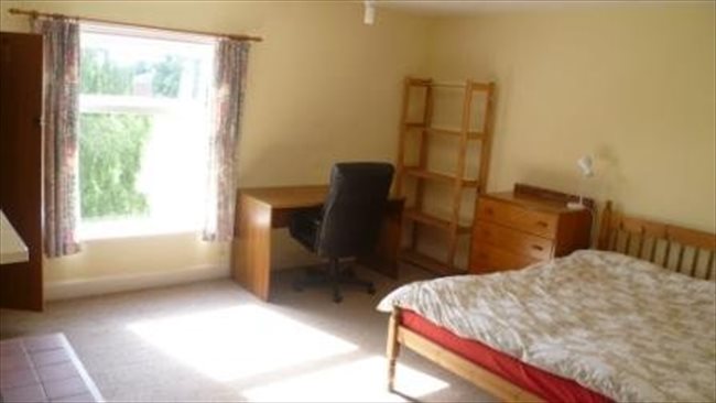 Room to rent in Park Dale - Single Room. Great Location Near City Centre. - Image 4