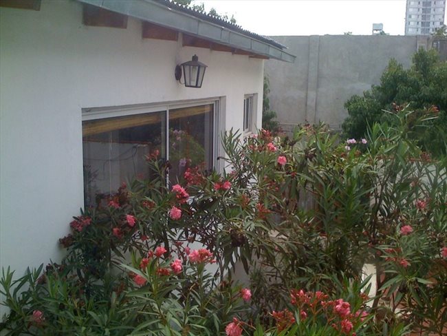 Habitacion en alquiler en Buenos Aires - A RESIDENCIA ESTUDIANTIL BUENOS AIRES | CompartoDepto - Image 4