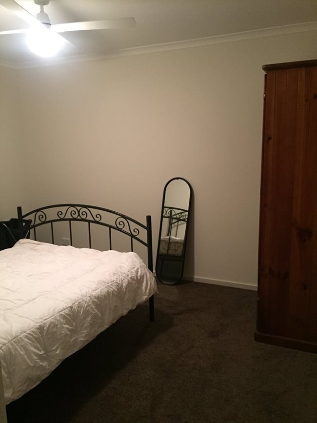 Room to rent in Elizabeth Town - Housemate Wanted! - Image 2