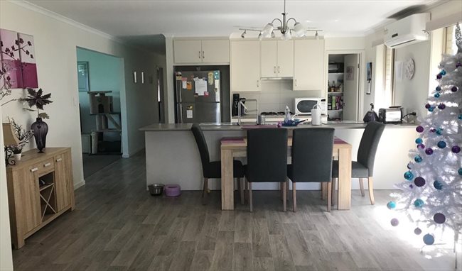 Room to rent in Elizabeth Town - Housemate Wanted! - Image 3