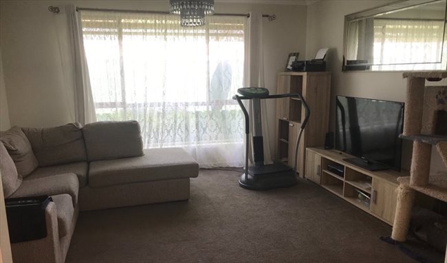 Room to rent in Elizabeth Town - Housemate Wanted! - Image 4