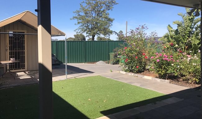 Room to rent in Elizabeth Town - Housemate Wanted! - Image 7
