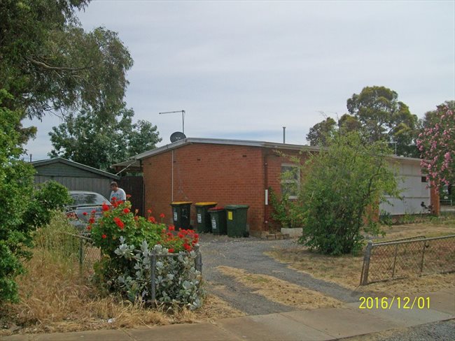 Room to rent in Elizabeth Town - Comfortable Budget Accomodation - Image 2