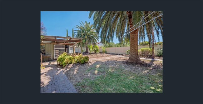Room to rent in Lynton - student house next to repat - Image 4