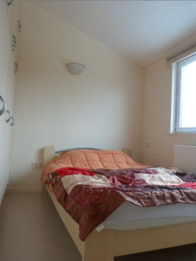 Colocation à Nivelles - Studio à louer Nivelles 425+75charges | Appartager - Image 6