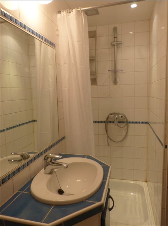 Colocation à Nivelles - Studio à louer NIVELLES 290 + 60 charges | Appartager - Image 3