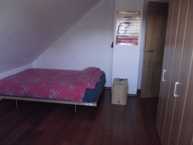 Colocation à Les Bons Villers - Colocation étudiants/stagiaires/salariés | Appartager - Image 4