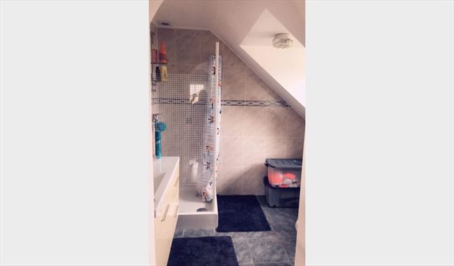Colocation à Les Bons Villers - Colocation étudiants/stagiaires/salariés | Appartager - Image 8