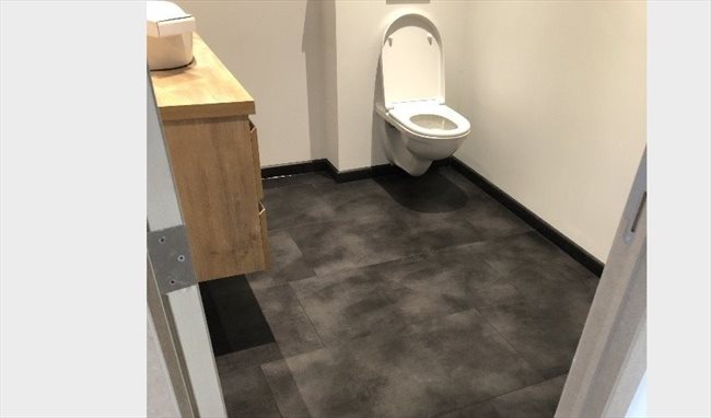 Colocation à Les Bons Villers - Colocation dans grande maison de +/- 250m2 à Frasnes-Lez-Gosselies | Appartager - Image 5