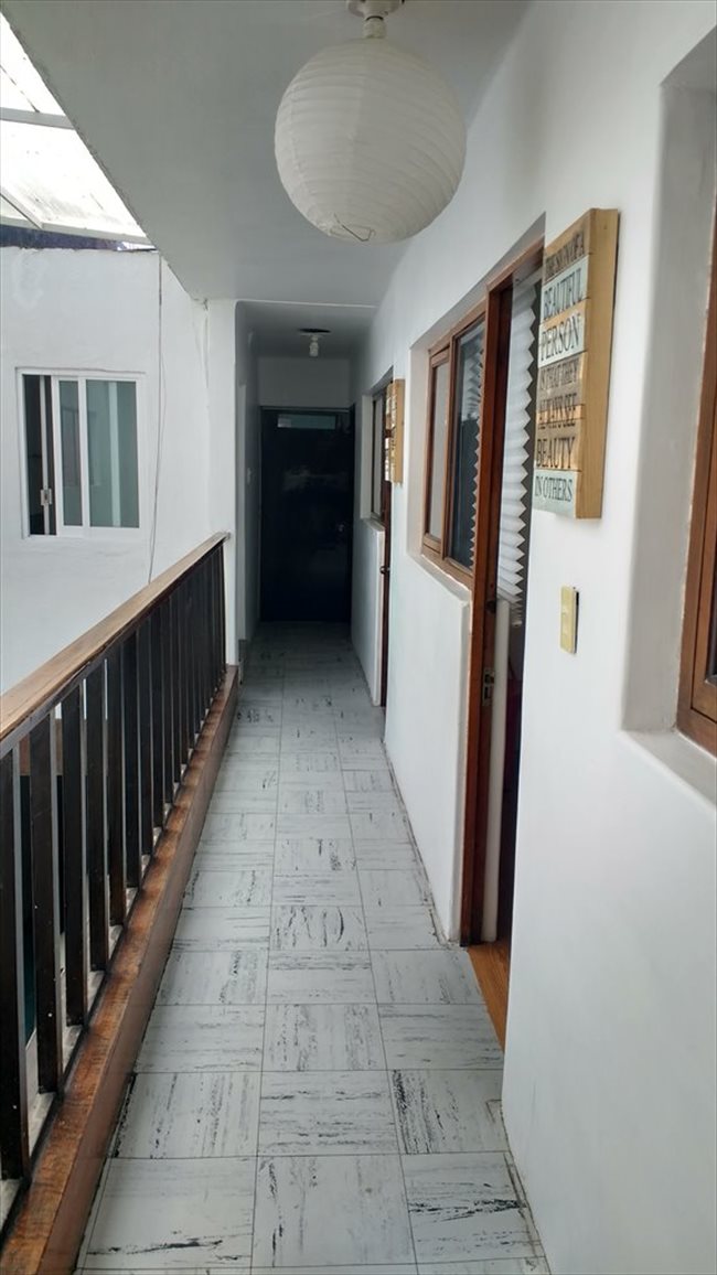 Cuarto en renta en Toluca - RENTO CÓMODOS CUARTOS AMUEBLADOS | CompartoDepa - Image 8