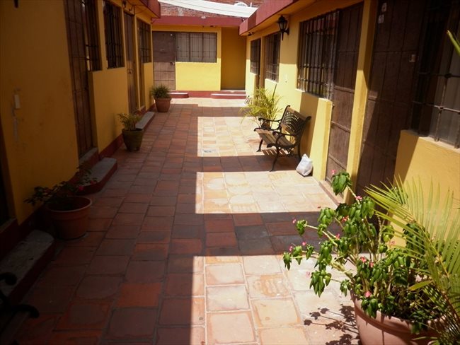 Cuarto en renta en Puebla - Estancia exclusiva a estudiantes UPAEP, ISU o IEU. | CompartoDepa - Image 3