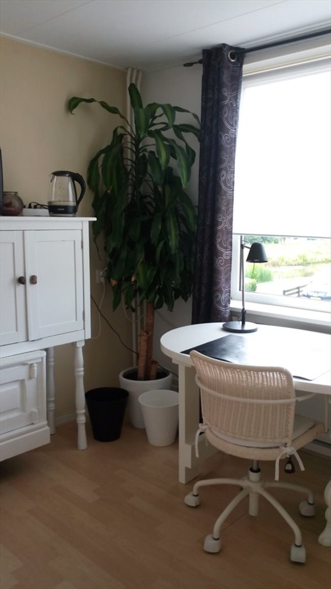 Kamers te huur in Alkmaar - Nice room 4 rent/Ruime Kamer te huur DE RIJP - Alkmaar | EasyKamer - Image 4