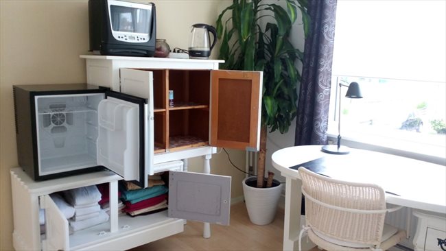 Kamers te huur in Alkmaar - Nice room 4 rent/Ruime Kamer te huur DE RIJP - Alkmaar | EasyKamer - Image 7