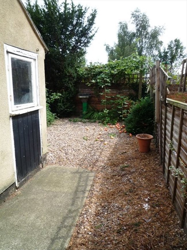 Room to rent in Lenton Abbey - DOUBLE BED AVAILABLE IN STUDENT HOUSE IN BEESTON - Image 4
