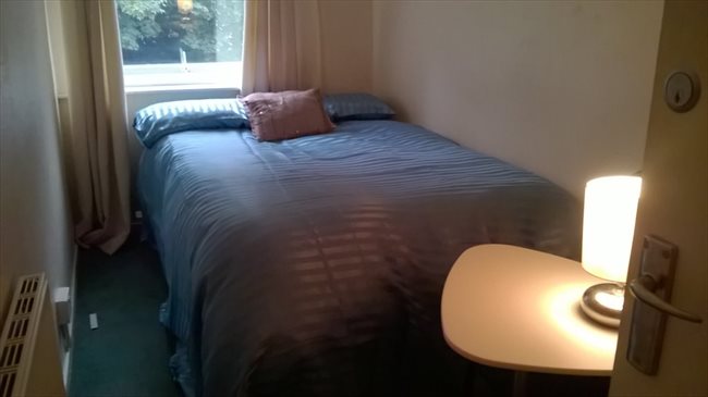 Room to rent in Wolverhampton - JULY 17 - ONE DOUBLE ROOM LEFT - Image 1