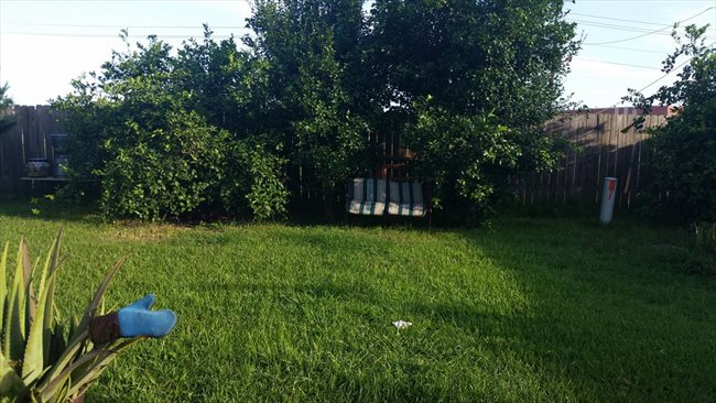 Room for rent in Bordersville - ONE BEDROOM AVAILABLE WI-FI HIGH SPEED WASHER DYER. - Image 6