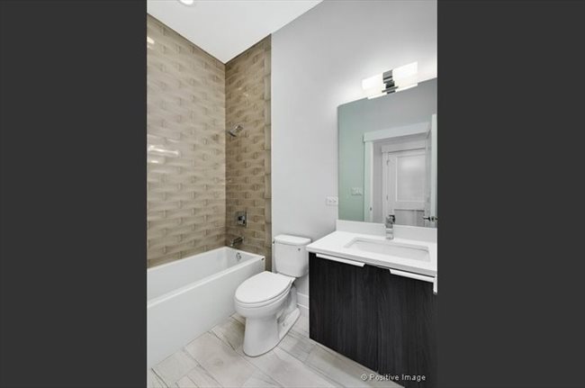 Room for rent in Ukrainian Village - West Town Room For Rent - Image 1