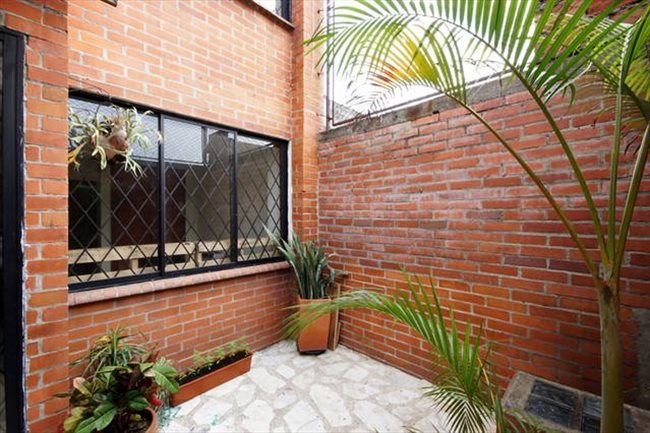 Habitacion en arriendo en Cali - 203 MCSA - Multi Cultural Shared Apartment | CompartoApto - Image 5