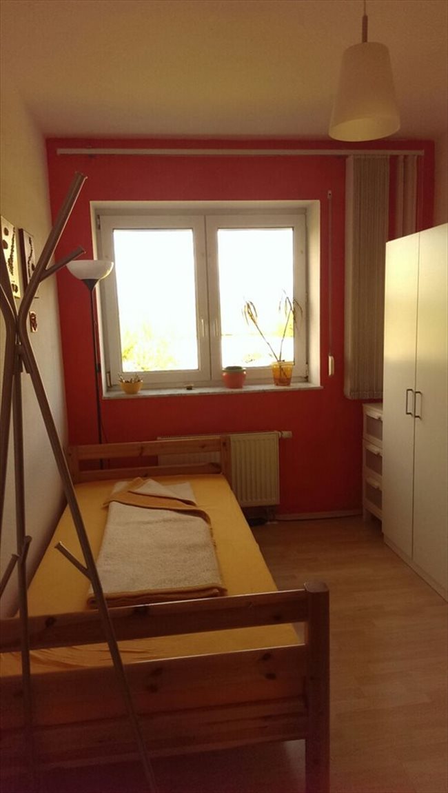 WG Zimmer in Frankfurt - Sonniges Zimmer in Frankfurt | EasyWG - Image 1