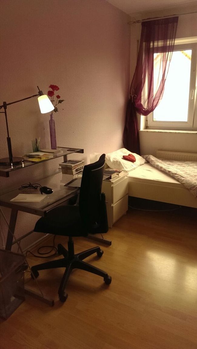 WG Zimmer in Frankfurt - Sonniges Zimmer in Frankfurt | EasyWG - Image 3