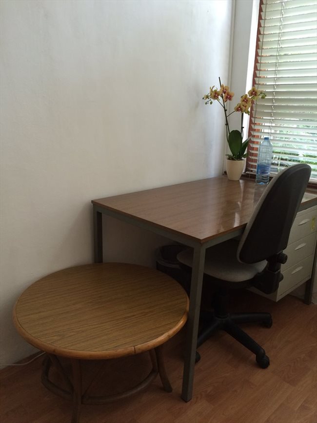 Kamers te huur in Schiedam - Furnished rooms for rent | EasyKamer - Image 3