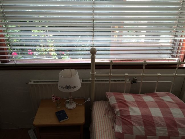 Kamers te huur in Schiedam - Furnished rooms for rent | EasyKamer - Image 4