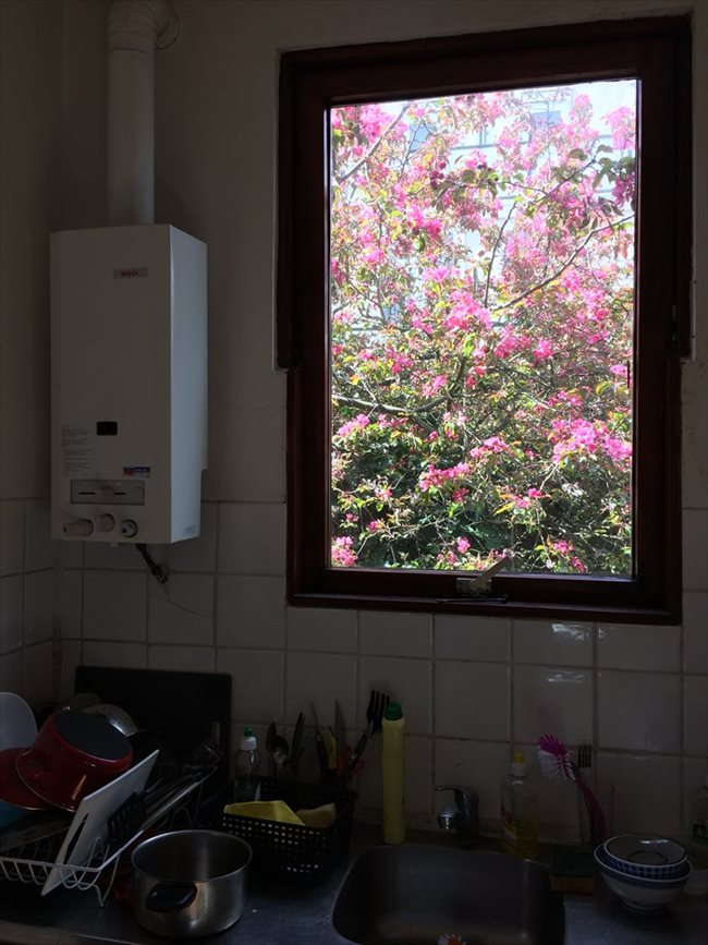 Kamers te huur in Schiedam - Furnished rooms for rent | EasyKamer - Image 5