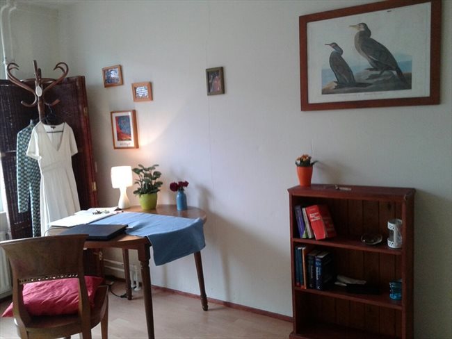 Kamers te huur in Amstelveen - Available in Amsterdam ***female only*** clean, neat & tidy | EasyKamer - Image 1