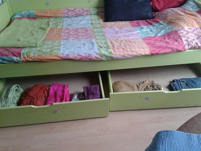 Kamers te huur in Amstelveen - Available in Amsterdam ***female only*** clean, neat & tidy | EasyKamer - Image 3