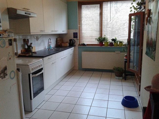 Kamers te huur in Amstelveen - Available in Amsterdam ***female only*** clean, neat & tidy | EasyKamer - Image 6
