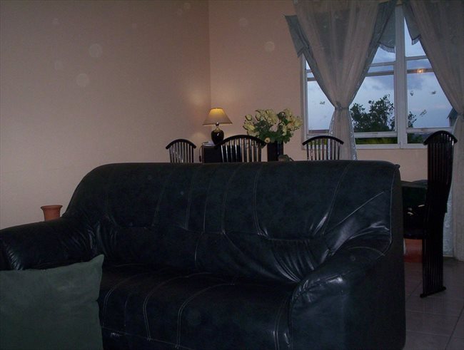 Kamers te huur in Hilversum - ROOM ONLY FOR FEMALE | EasyKamer - Image 1