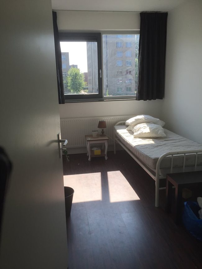 Kamers te huur in Diemen - Ruime kamer inclusief drycleaning wash | EasyKamer - Image 5