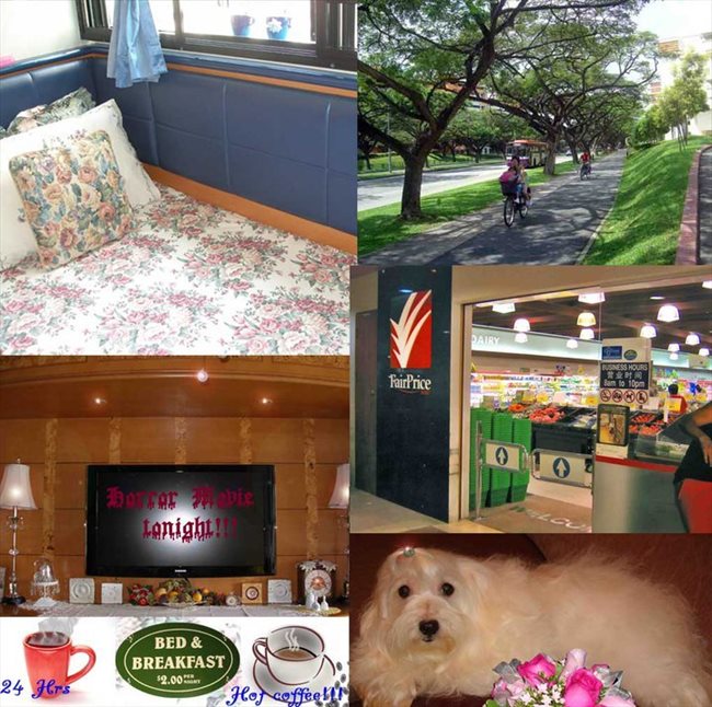 Room for rent in Pasir Ris - Wanted: Owner looking for a honest, reliable and friendly tenant!! - Image 3