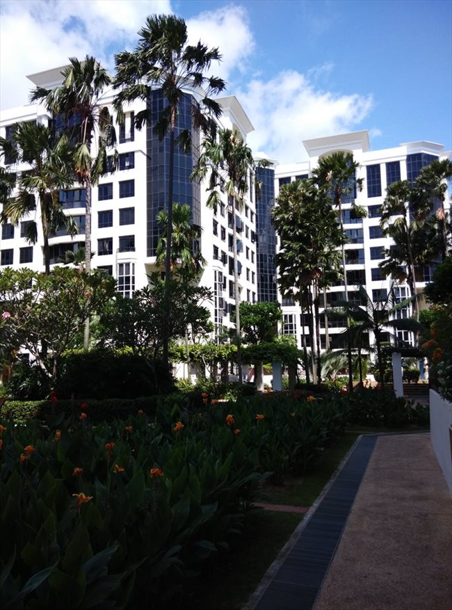 Room for rent in Simei - East point green condo - the oasis of the east - Image 2