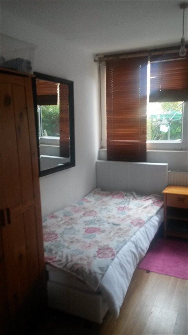 Room to rent in Hammersmith - rent a large room in Hammersmith - Image 4